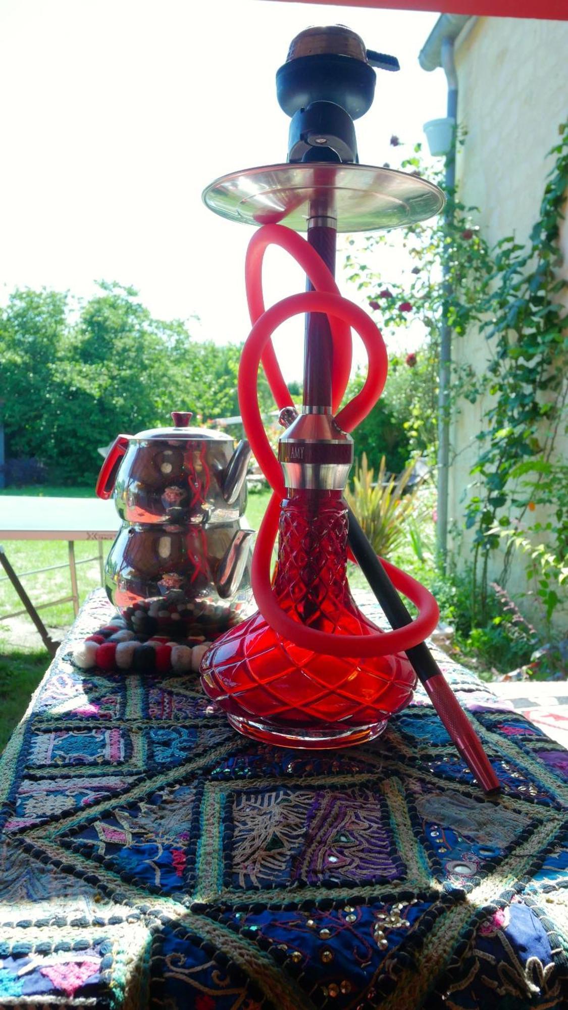 Les Jardins D'Ispahan Prignac-et-Marcamps Extérieur photo